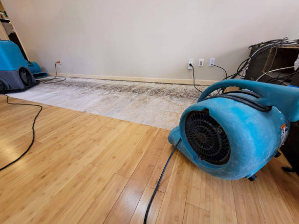 Professional Emergency Water Damage technician working in Green Valley, SD